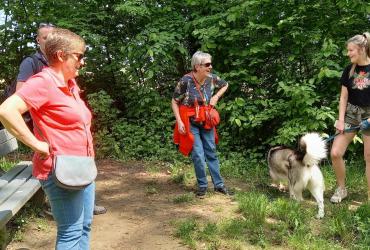 Lentewandeling