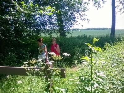 WP_20150607_003 (2)